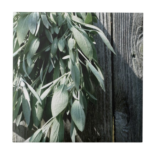 Azulejo De Cerâmica Plantas aromáticas com madeira-de-bambu (Frente)