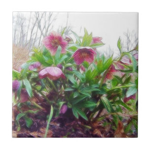 Azulejo De Cerâmica Plantas constantes do Hellebore no jardim