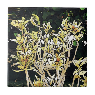 Azulejo De Cerâmica Plantas de Cuba