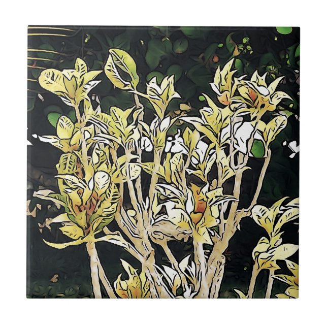 Azulejo De Cerâmica Plantas de Cuba (Frente)