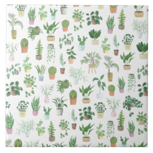 Azulejo De Cerâmica Plantita House Plantas e Potes