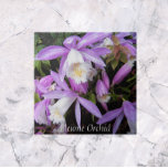 Azulejo De Cerâmica Plione Windowsill Orchids Floral<br><div class="desc">Para fãs duros de orquídeas! Azulejo cerâmico com imagem fotográfica de flores roxas e brancas Pleione Orchid,  também conhecidas como Orquídeas do Windows. Um design floral adorável! Selecione o tamanho do seu azulejo. Faz uma trivet de cozinha excelente!</div>