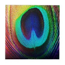 Pluma de Pavão Vibrante
