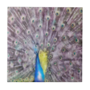 Azulejo De Cerâmica Plumagem de Acasquilho de Pavão de Penas Finas