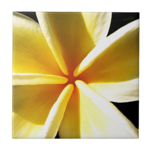 Azulejo De Cerâmica plumeria