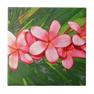 Azulejo De Cerâmica plumeria
