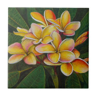 Azulejo De Cerâmica Plumeria do arco-íris
