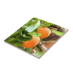 AZULEJO DE CERÂMICA  PLUMES