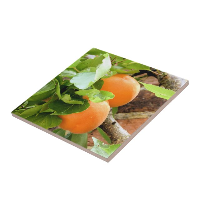 AZULEJO DE CERÂMICA  PLUMES (Lateral)