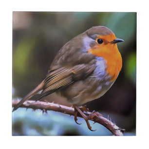 Azulejo De Cerâmica Plump Robin Perch Em Uma Arte De Vida Selvagem De 