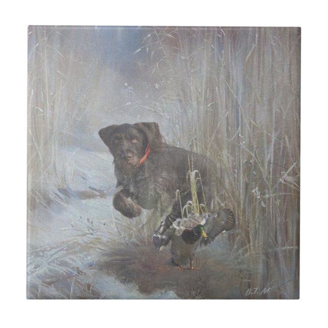 Azulejo De Cerâmica Pointer Alemão de Pelo Cabeludo (Frente)