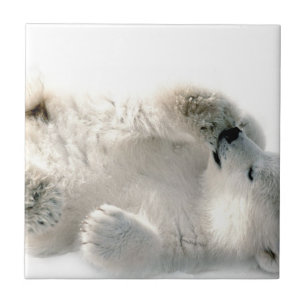 Azulejo De Cerâmica Polar Bear Cub Cub Ártico Ártico Congelado Inverno