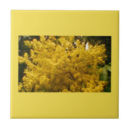 Azulejo De Cerâmica Pólen Blooming