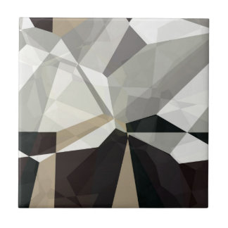 Azulejo De Cerâmica Polígono abstratos 212