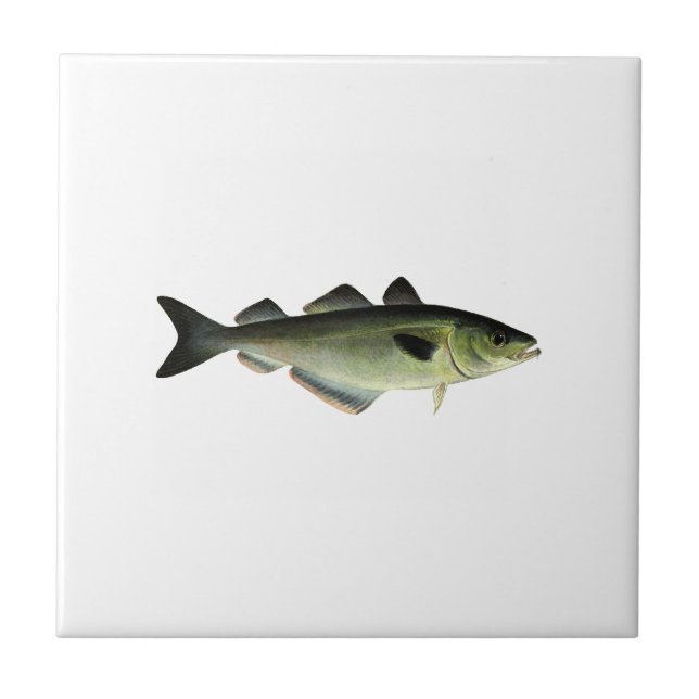 Azulejo De Cerâmica Pollock atlântico (Frente)