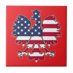 Azulejo de Cerâmica Polonês Americano de Águia