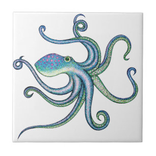Azulejo De Cerâmica Polvo