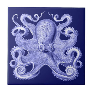 Azulejo De Cerâmica Polvo Azul Casa de Praia Náutica Haeckel Costa