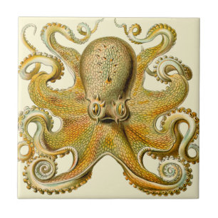 Azulejo De Cerâmica Polvo do vintage