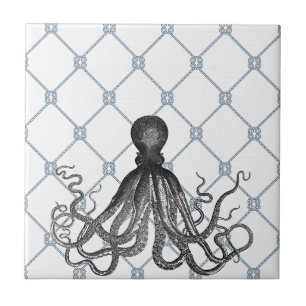 Azulejo De Cerâmica Polvo - náutico