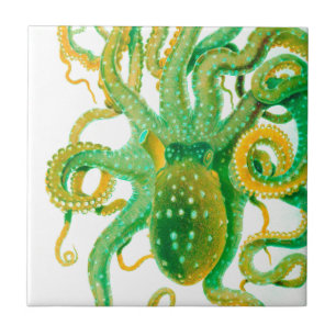 Azulejo De Cerâmica polvo verde