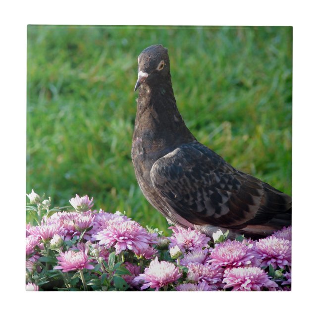 Azulejo De Cerâmica Pombo e Mães (Frente)