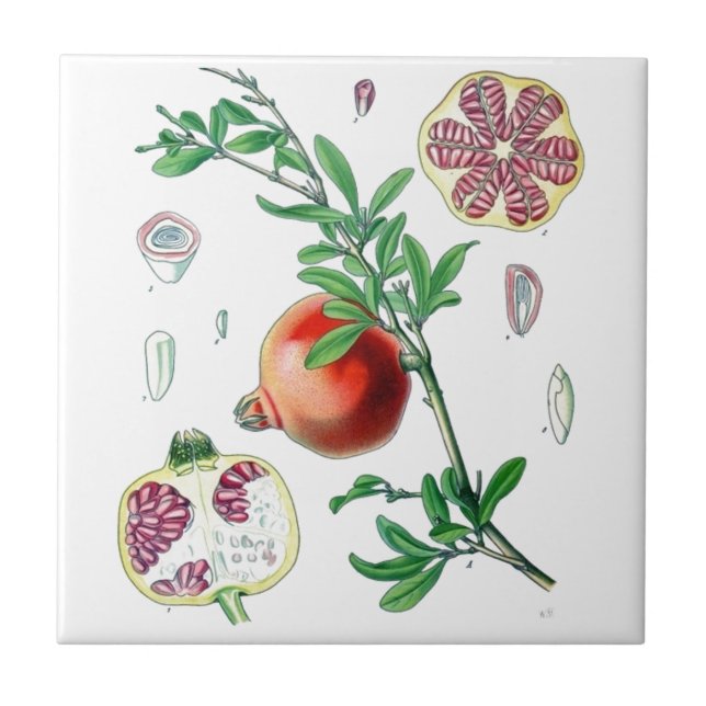 Azulejo De Cerâmica Pomegranato (Frente)