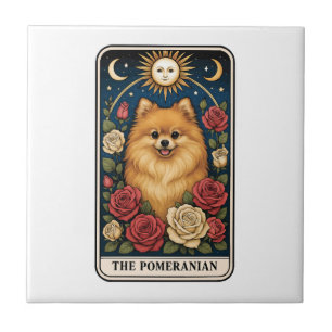 Azulejo De Cerâmica Pomerânia