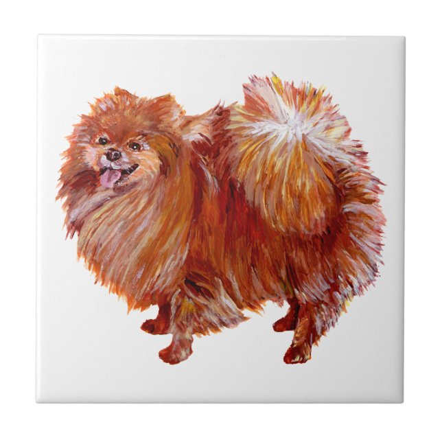 Azulejo De Cerâmica Pomerânia Vermelha (Frente)