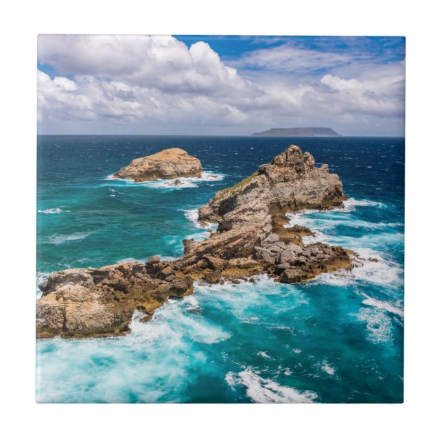 Azulejo De Cerâmica Ponta de Chateaux, Grande-Terre, Guadalupe #2 (Frente)