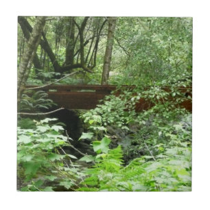 Azulejo De Cerâmica Ponte Muir Woods I