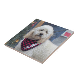 Azulejo De Cerâmica Poodle