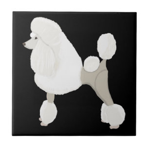 Azulejo De Cerâmica Poodle Branco de Exposição