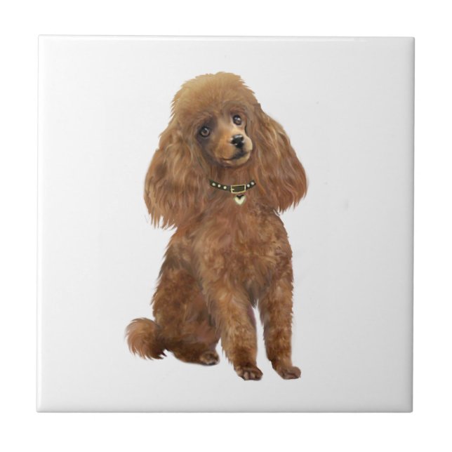 Azulejo De Cerâmica Poodle - Damasco (Frente)