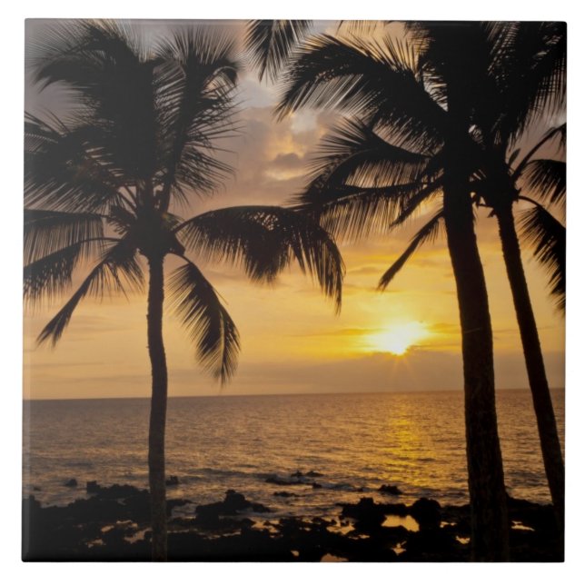 Azulejo De Cerâmica pôr do sol da palmeira (Frente)