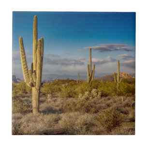 Azulejo De Cerâmica Por do sol do cacto na arizona