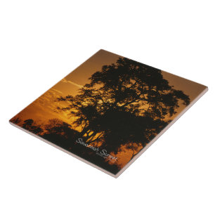 Azulejo De Cerâmica Por do sol do savana
