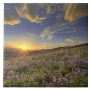 Azulejo De Cerâmica Pôr do sol sobre as montanhas Bitterroot e vasto