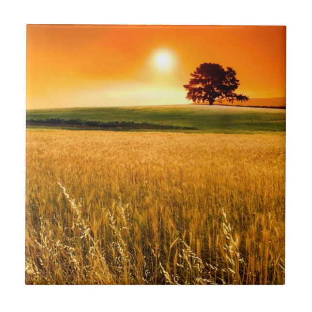 Azulejo De Cerâmica Por do sol vermelho-sangue (Frente)