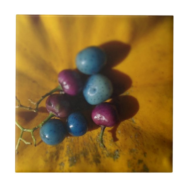 Azulejo De Cerâmica Porcelain Berries e Pumpkin (Frente)