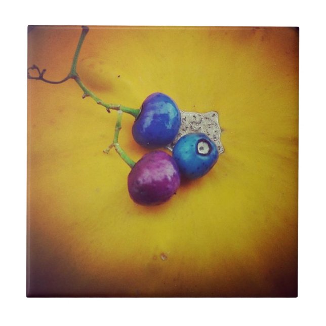 Azulejo De Cerâmica Porcelain Berries em uma abóbora (Frente)