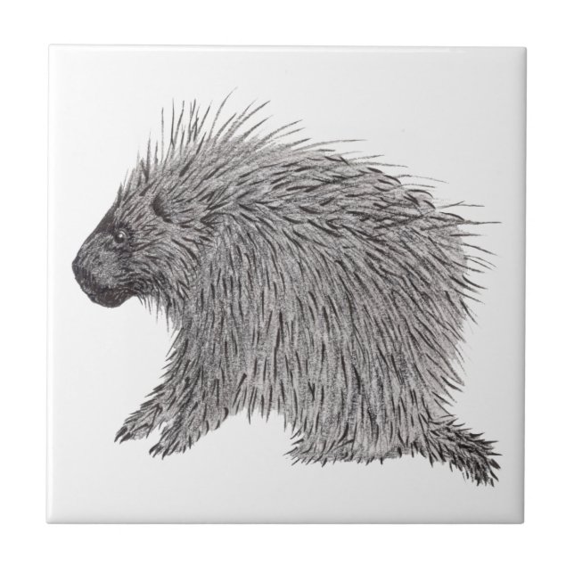 Azulejo De Cerâmica Porcupine (Frente)