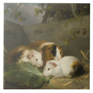 Azulejo De Cerâmica Porquinhos-da-índia (por George Morland)