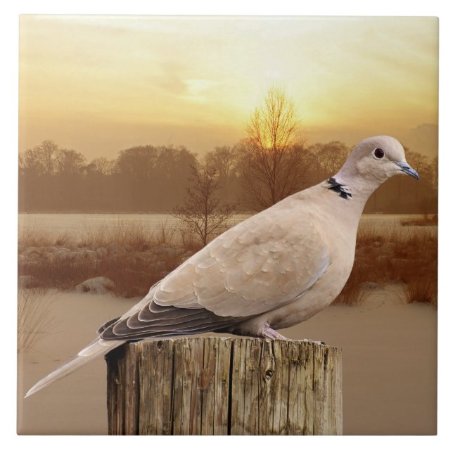 AZULEJO DE CERÂMICA  PORTA (Frente)