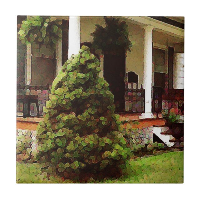 Azulejo De Cerâmica Portão frontal (Frente)