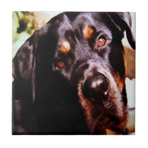 Azulejo De Cerâmica Portátil Artístico Rottweiler