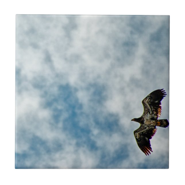 Azulejo De Cerâmica Possibilidades futuras (Frente)