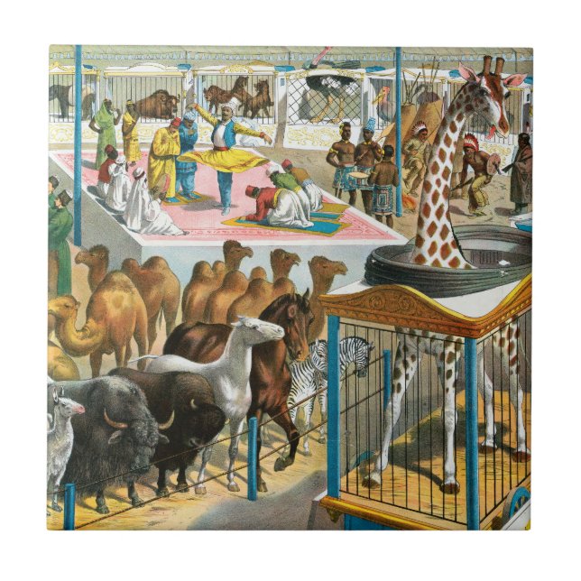 Azulejo De Cerâmica Poster de Circo De Pessoas De Diferentes Nacionali (Frente)