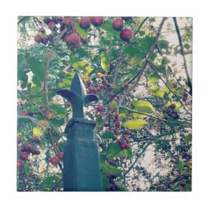 Azulejo De Cerâmica Posto de cerca