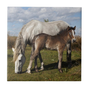 Azulejo De Cerâmica Potro de cavalo Camargue com mãe